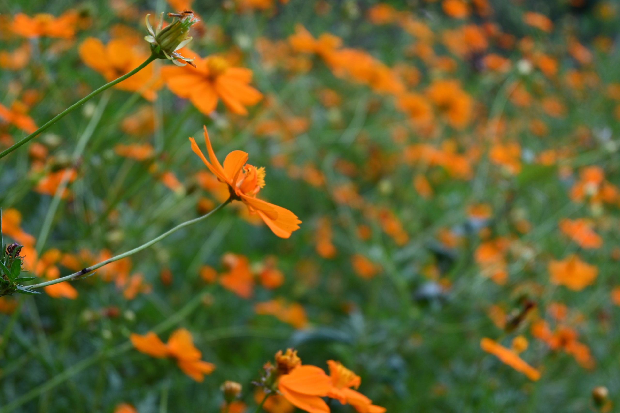 人生とは短くなかろうか