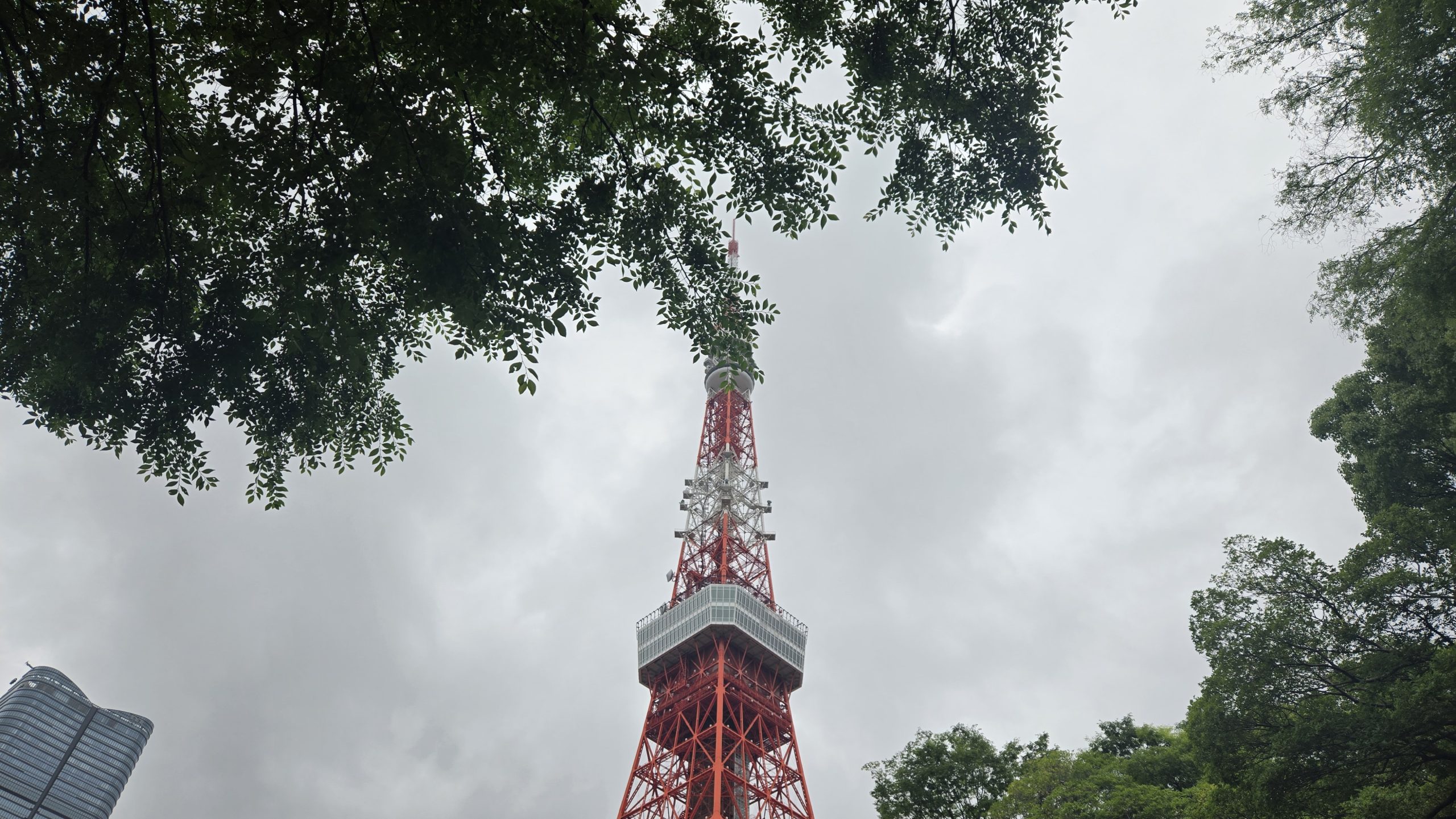 IN RED° TOKYO TOWER・2