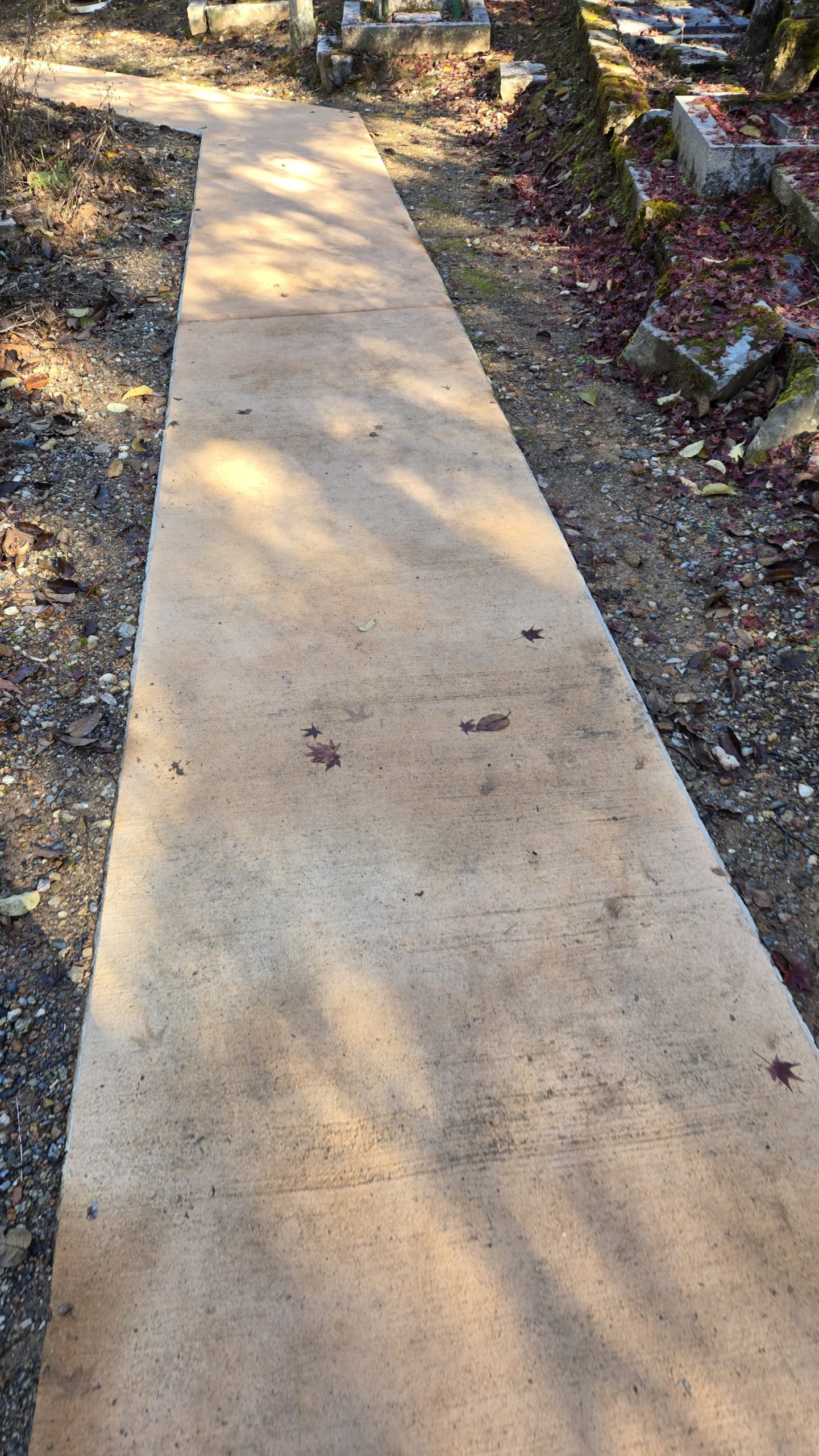 「受けるよりも与えなさい」