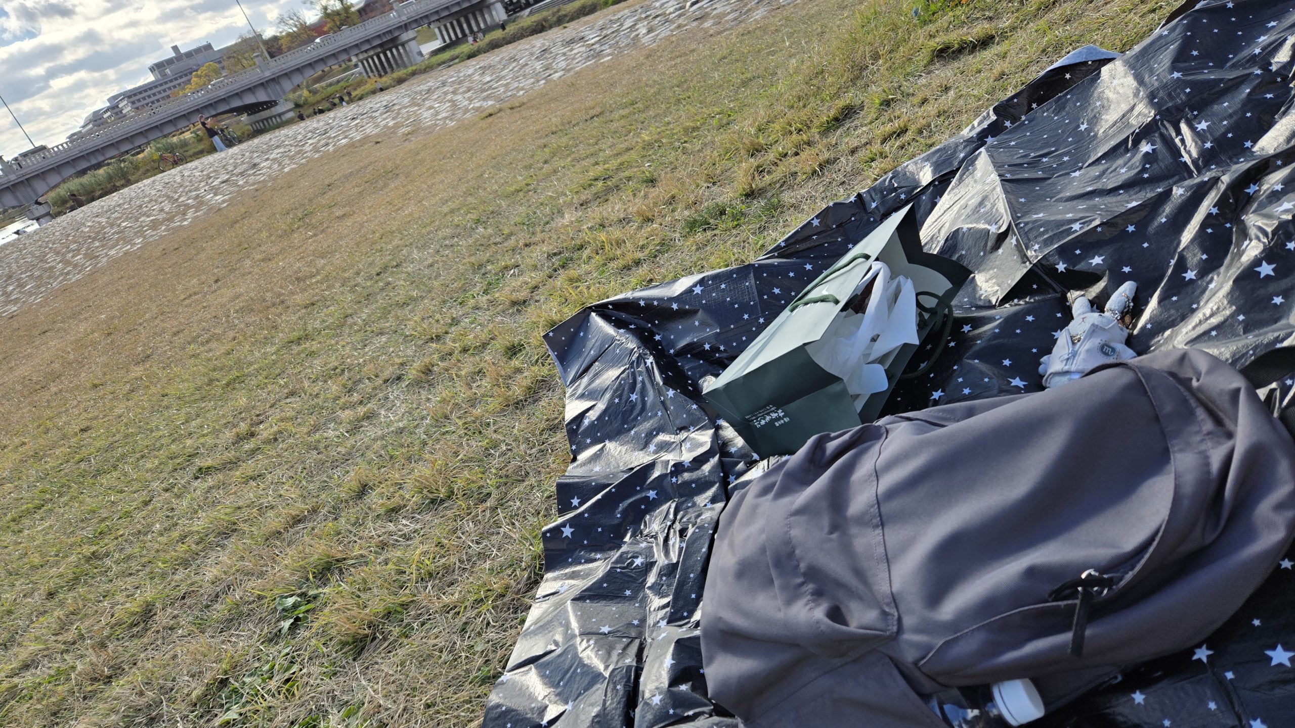 京都を駆け巡る