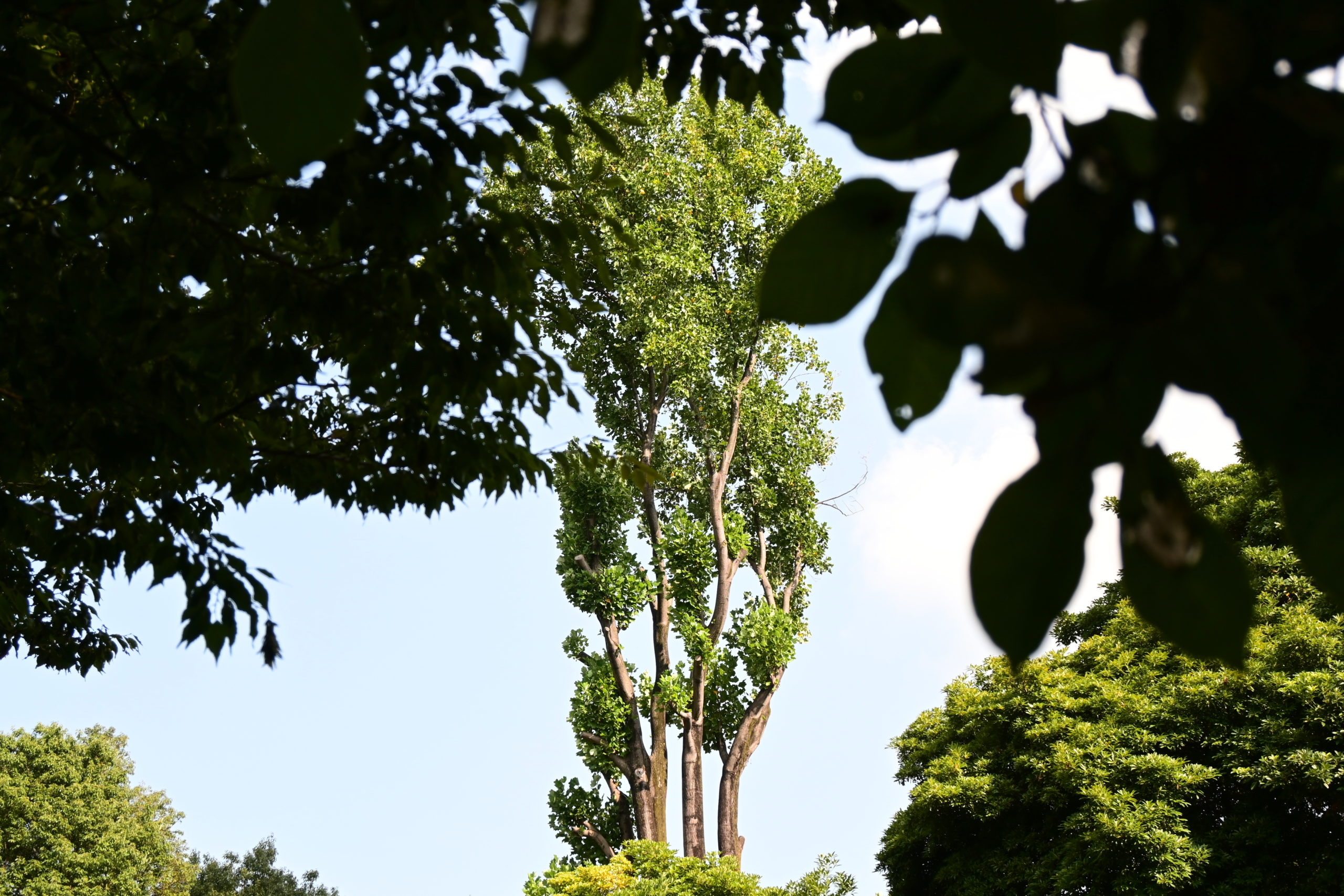 惑わず道を進むということ