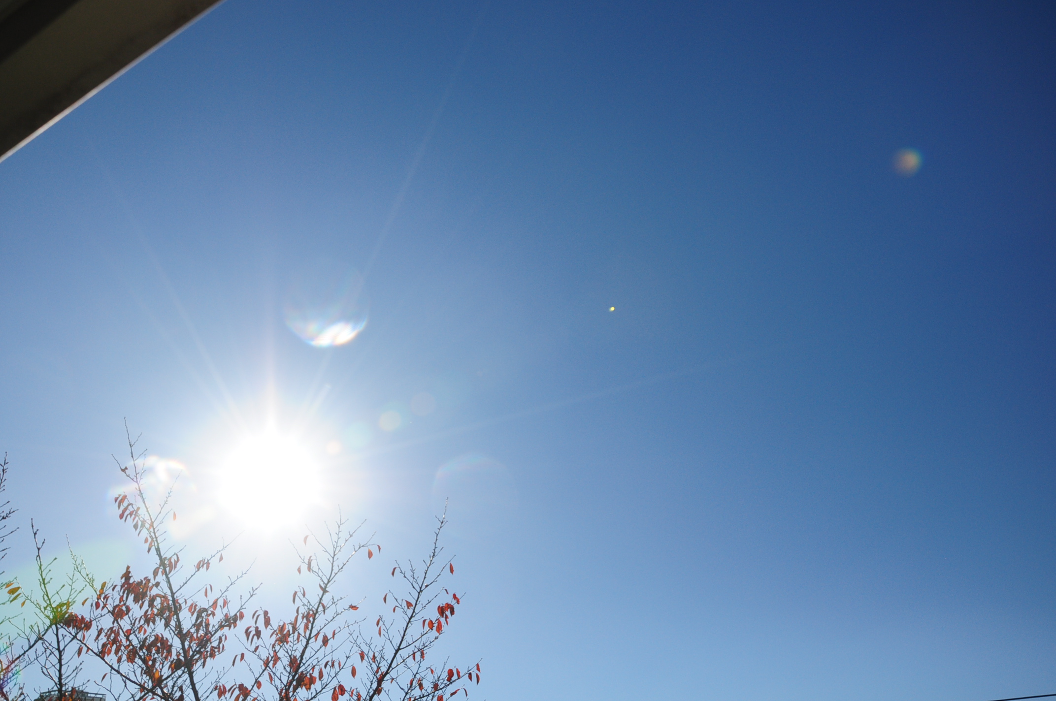 Fate/Grand Order：第二部終章